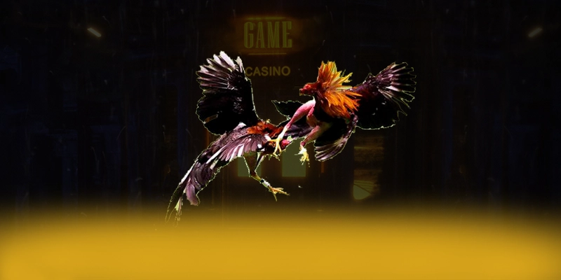 KUWIN - Cổng game bài mượt mà trên thị trường