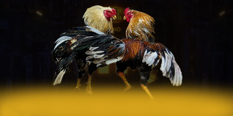 tài xỉu online – Trang game có thưởng lớn, đang làm mưa làm gió trên thị trường.