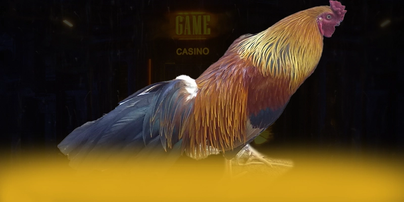 DAGA88 - Nhìn lại toàn bộ ưu điểm theo đánh giá từ người dùng.