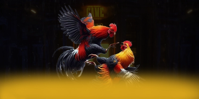 GEM88 - Tổng hợp đánh giá một cách tổng quan.