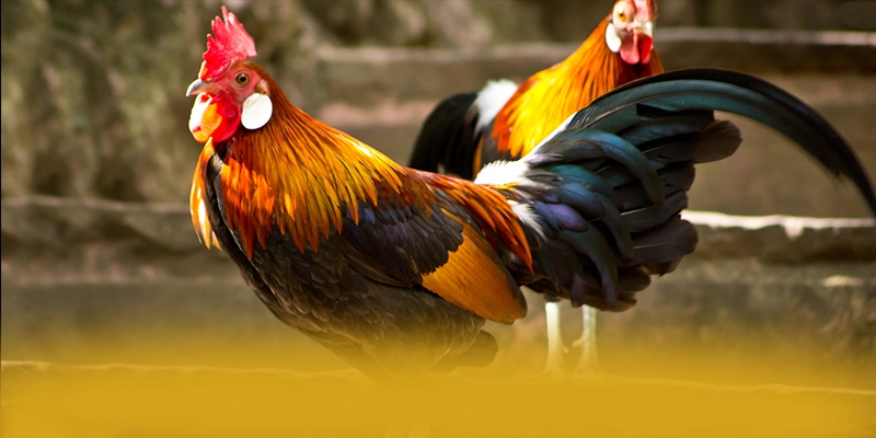 WIN79 - Cổng giải trí với nhiều tựa game đổi thưởng hấp dẫn được yêu thích nhất – Khám phá thế giới giải trí tại WIN79