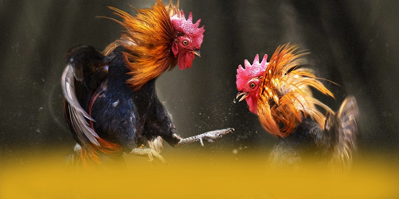 LC88 - Cổng giải trí đáng tin cậy hiện nay – Đánh giá chi tiết về LC88