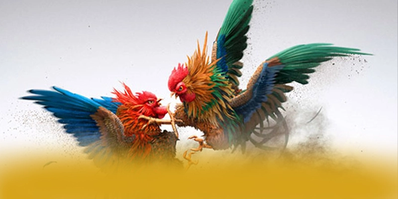 GEM88 - Thương hiệu bảo mật cao được yêu thích hàng đầu – Tìm hiểu về độ tin cậy và bảo mật tại GEM88