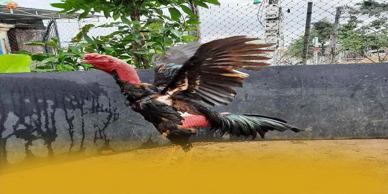 SUNWIN – Sảnh game chất lượng, được cộng đồng game thủ tin tưởng.