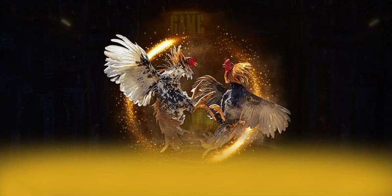 Review chi tiết UK88 - Nhà cái được tin dùng trên thị trường