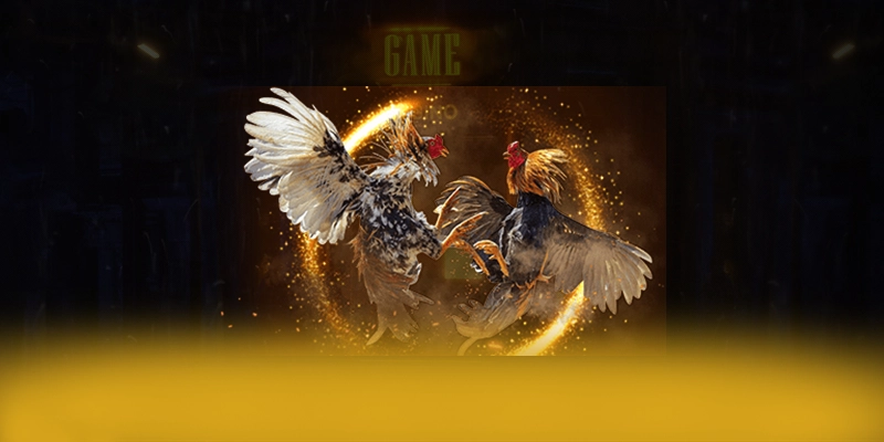 XO88 - Nhà cái sở hữu odds tốt nhất thị trường