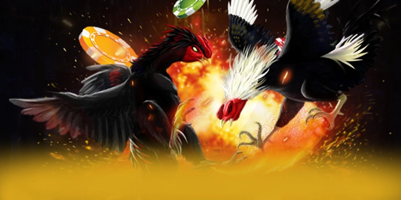 Khám phá F8BET - Nhà cái uy tín uy tín số 1 tại Việt Nam