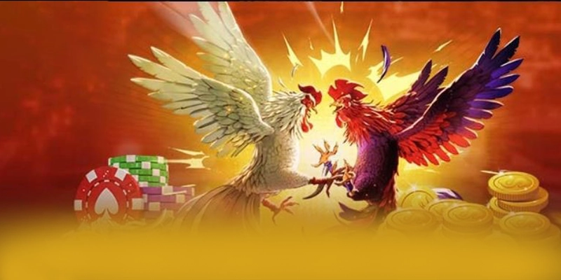 SIN88 - Nền tảng sở hữu odds đem lại lợi nhuận tối đa cho người chơi
